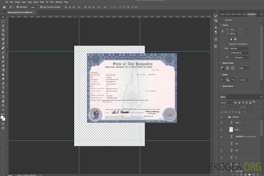 Acte de naissance aux États-Unis, dans le New Hampshire template